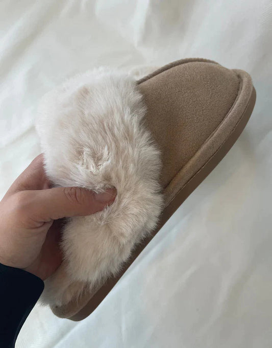 Pantufla de invierno