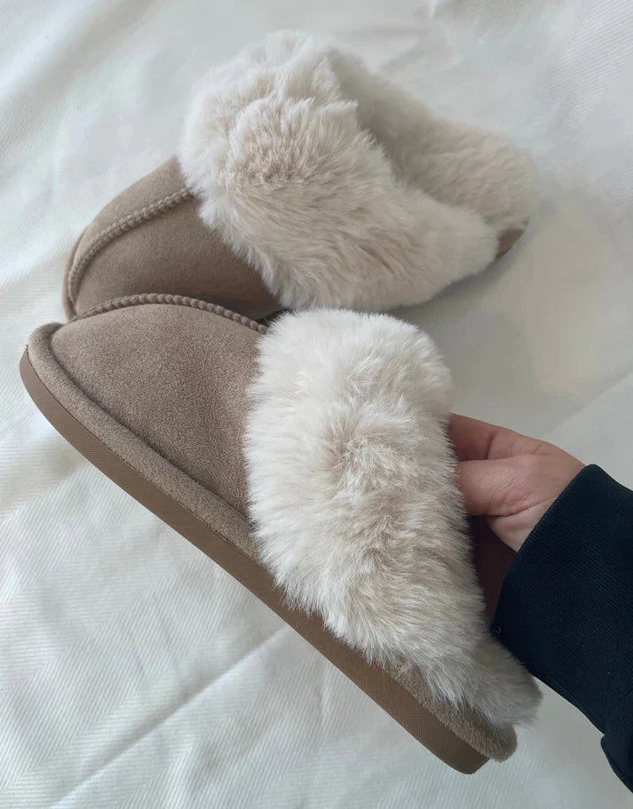 Pantufla de invierno